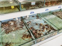 水产区-新海利(北岭店)