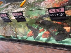 -九號渔港·蒸汽海鲜·粤菜茶点(八卦岭店)