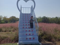 -洪湖湿地生态园