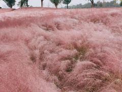 -汉长安城未央宫国家考古遗址公园