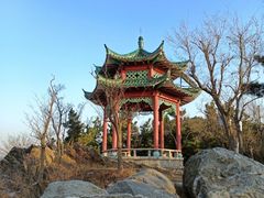 -龙口南山旅游景区