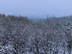 -阳台山自然风景区