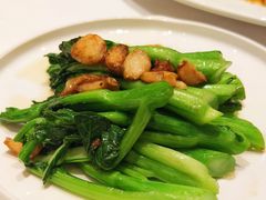 -稻香酒家·34年老字号·港式粤菜(侨光店)