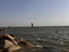 -老虎石海上公园