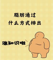 -Fundi张玉珊修身堂·indiba·BTL科技瘦身