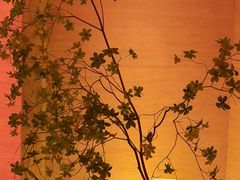 -舒小悦·舒养SPA·古法推拿(光环中心店)