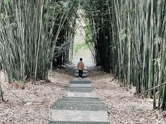 -潜山国家森林公园
