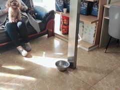 -A猫a狗全科·犬猫异宠·芥西宠物医院(南开总院)