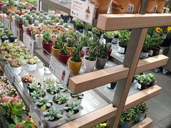 -鹿岛会员店(熙地港店)