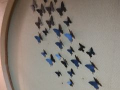 -白兔子密室(长寿路店)