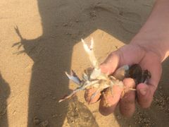 -那香海钻石沙滩浴场