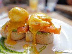 -Elephant Grounds(STARSTREET)