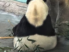 -青藏高原野生动物园