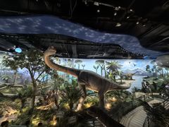 -陕西自然博物馆