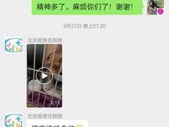 -北京观赏动物医院·24小时大型综合·猫专科·异宠专科