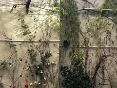 -Osteria Garden 生蚝花园餐厅(原进贤路店)