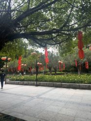 点击看大图 -同远QQBABY亲子摄影(北京路店)