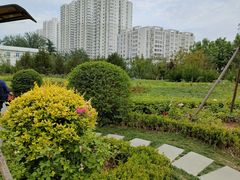 -袁家村关中印象体验地(大唐不夜城店)