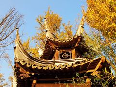 -韩湘水博园