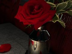 -弦月窗LUNETTE BY AMANDA(复兴路店)