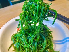 -蒙料·手把肉(望京店)