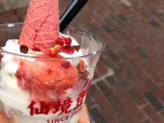 -仙境豆夫(步行街旗舰店)