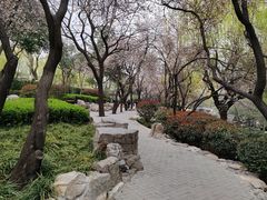 -环城公园
