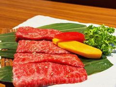 -炼火烤肉店