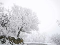 -香山公园