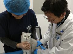 -萌兽医馆·绝育·24小时内科·宠物医院(德胜店)