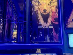 -INLOVE KTV(新天地店)