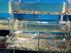 -仙螺岛海鲜自助餐厅(总店)
