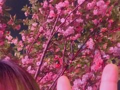 -虾女王·龙虾·烧烤(龙江店)