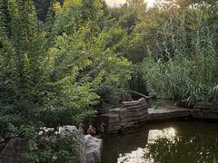 -东湖落雁景区