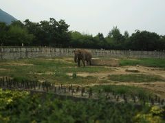 android_upload_pic-西安秦岭野生动物园