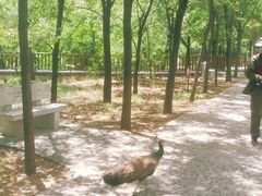 -北京麋鹿生态实验中心