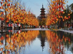 -龙华素斋(龙华路店)