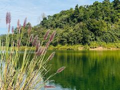 -孔雀湖生态旅游区