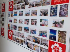 -樱花国际日语(徐家汇中心)