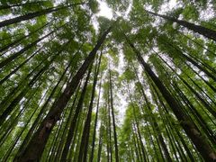 -山王坪喀斯特国家生态公园