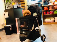 -小尾巴宠物店(万科·金域华庭店)