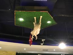 -H次元沉浸剧情密室(街道口店)