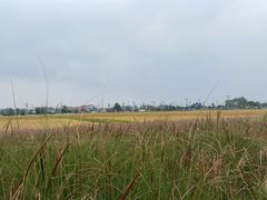 -中国天府农业博览园