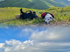 -萍乡武功山风景名胜区