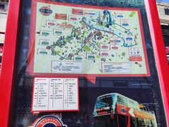 -BUS TOUR观光巴士