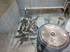 -鱼神·脆肉鲩 全鱼宴(西乡店)