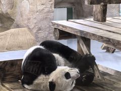 -无锡动物园·太湖欢乐园