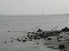 -深圳湾公园(南山区)