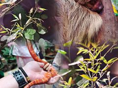 -正佳雨林生态植物园