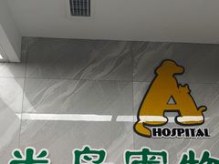 -半岛宠物医院24小时(白果林店)